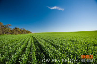 July 2009 / RURAL-00291