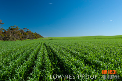 July 2009 / RURAL-00292