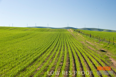 July 2009 / RURAL-00296