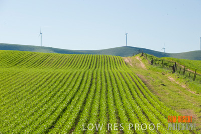 July 2009 / RURAL-00297