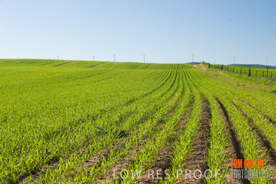 July 2009 / RURAL-00299