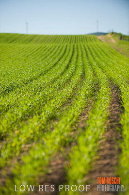 July 2009 / RURAL-00302