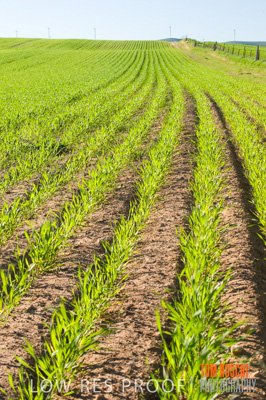 July 2009 / RURAL-00304