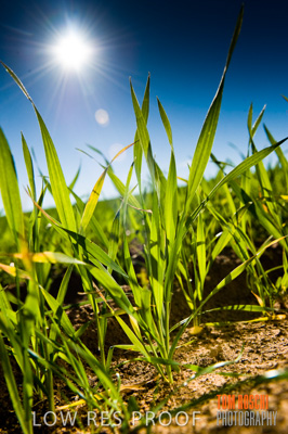 July 2009 / RURAL-00326