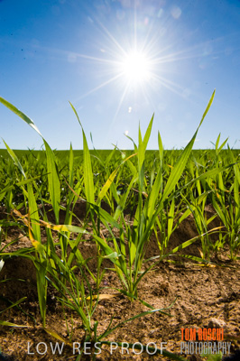 July 2009 / RURAL-00327