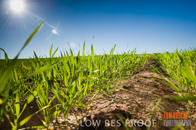 July 2009 / RURAL-00331