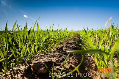 July 2009 / RURAL-00332