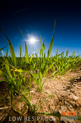 July 2009 / RURAL-00338