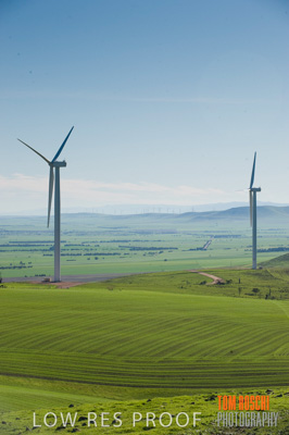 July 2009 / RURAL-00346