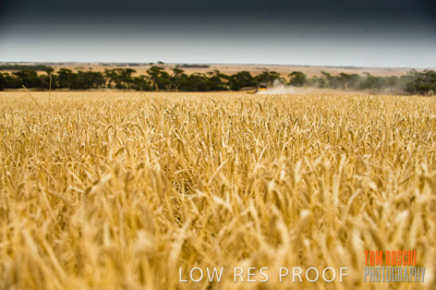 November 2009 / RURAL-00348