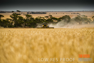 November 2009 / RURAL-00352