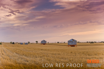 November 2009 / RURAL-00355