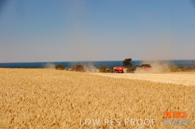 November 2013 / RURAL-00380