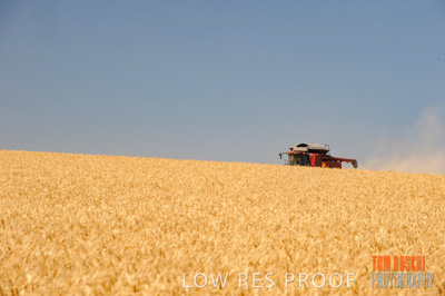 November 2013 / RURAL-00381