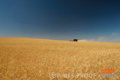 November 2013 / RURAL-00382