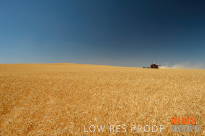 November 2013 / RURAL-00383