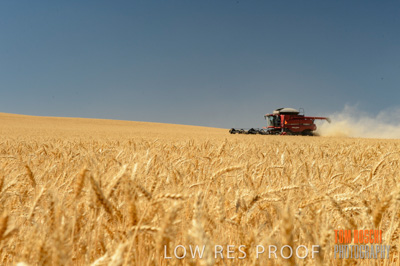 November 2013 / RURAL-00385