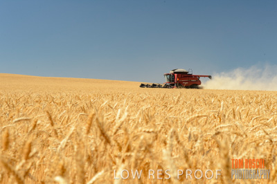 November 2013 / RURAL-00386