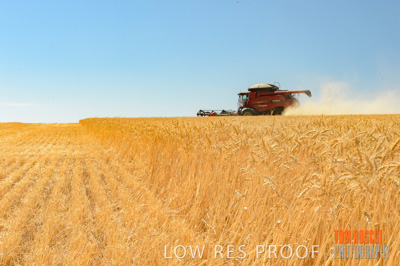 November 2013 / RURAL-00389