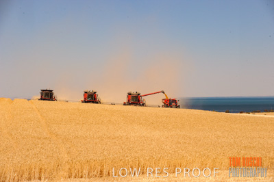 November 2013 / RURAL-00406