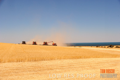 November 2013 / RURAL-00407