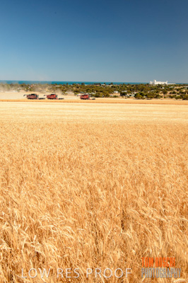 November 2013 / RURAL-00412