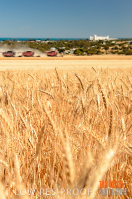 November 2013 / RURAL-00413