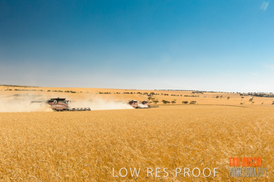 November 2013 / RURAL-00431