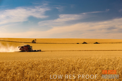 November 2013 / RURAL-00452