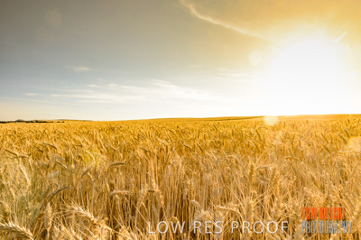 November 2013 / RURAL-00454