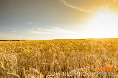 November 2013 / RURAL-00457