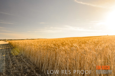 November 2013 / RURAL-00458