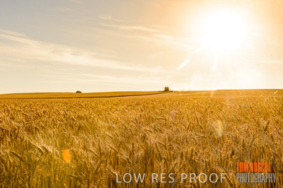 November 2013 / RURAL-00462