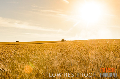 November 2013 / RURAL-00463