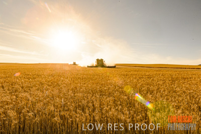 November 2013 / RURAL-00465