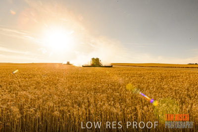 November 2013 / RURAL-00466