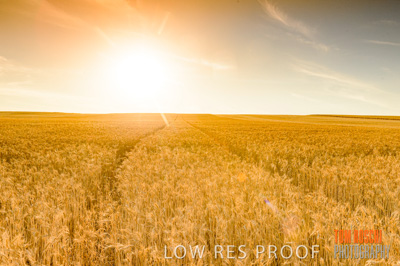 November 2013 / RURAL-00471