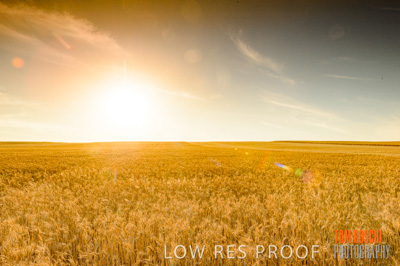 November 2013 / RURAL-00472