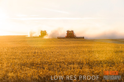 November 2013 / RURAL-00480