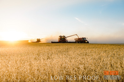 November 2013 / RURAL-00481