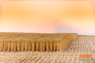 November 2013 / RURAL-00487