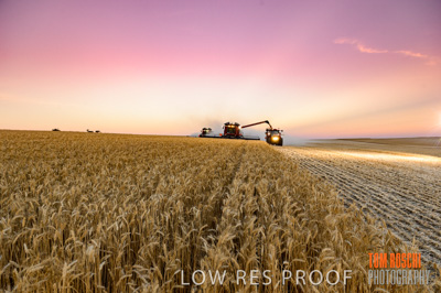 November 2013 / RURAL-00488