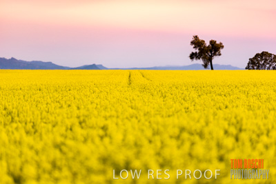 September 2014 / RURAL-00503