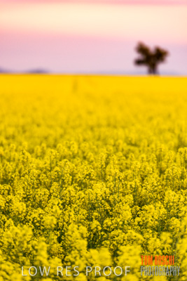 September 2014 / RURAL-00504