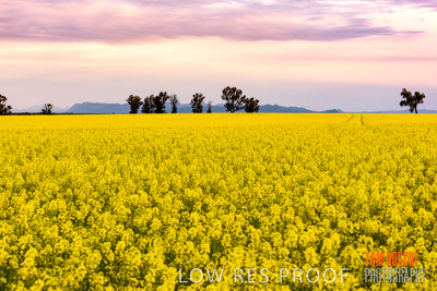 September 2014 / RURAL-00505