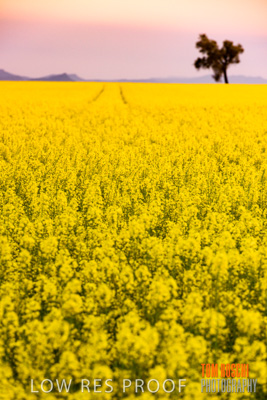 September 2014 / RURAL-00506