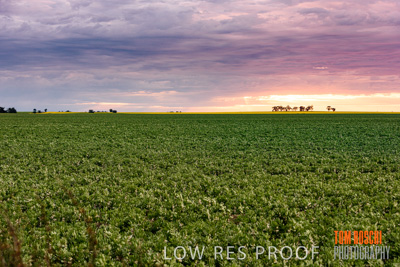 September 2014 / RURAL-00507