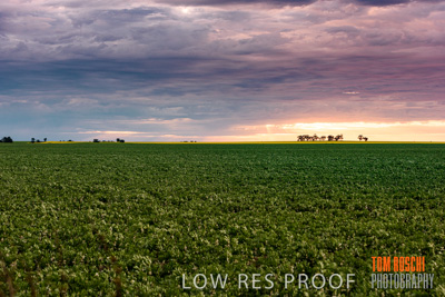 September 2014 / RURAL-00508