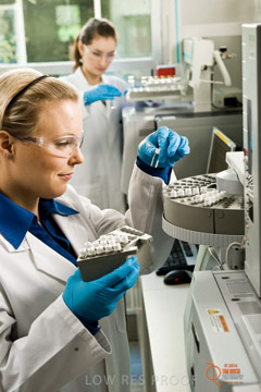 VITERRA 2013 / ABB_048_090505