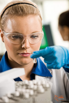 VITERRA 2013 / ABB_133_090505